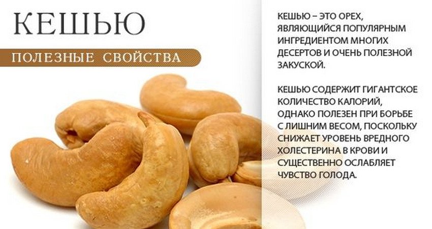 Кешью: польза и вред для организма мужчин, как правильно употреблять  жареные орехи