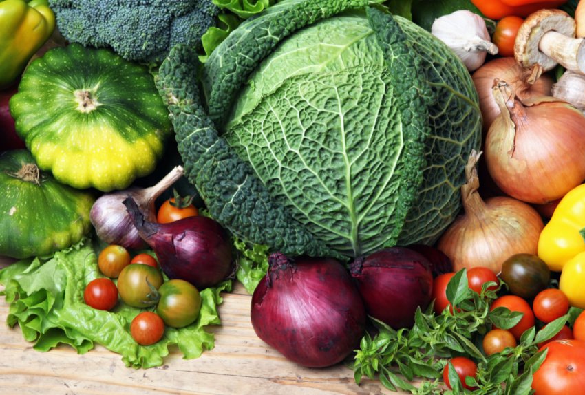 Посіви ярих зернових культур у господарствах населення Закарпаття зменшилися на 6 відсотків Посіви ярих зернових культур у господарствах населення Закарпаття зменшилися на 6 відсотків