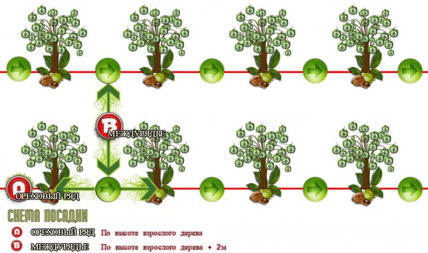 Схема посадки Схема посадки