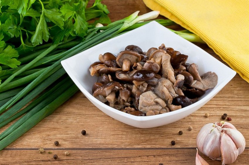 Мариновані рядовки