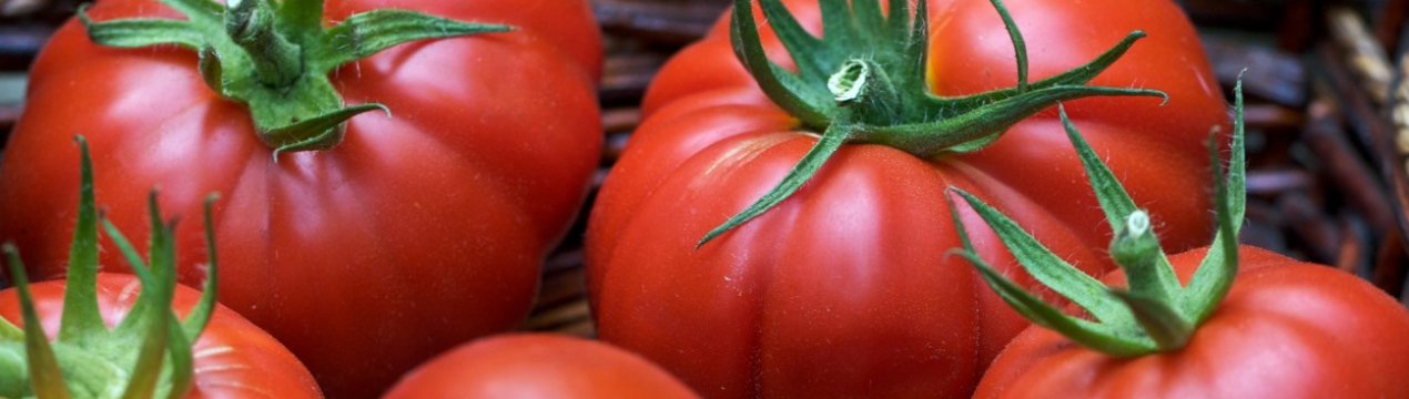 Томат «Пузата хата»: опис та характеристика сорти, вирощування і догляд