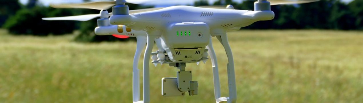 Армійський хробак капітулює після атаки дронів