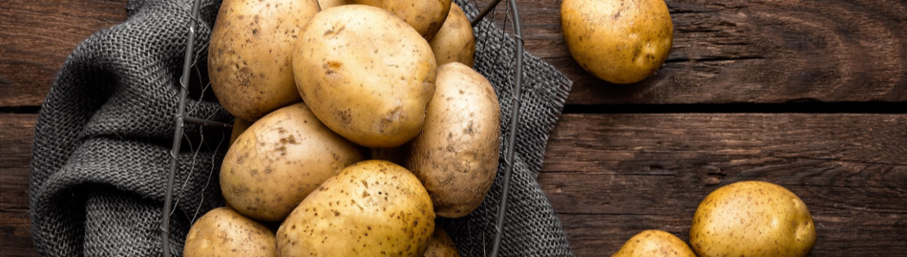 На Волині провели Український день картоплі