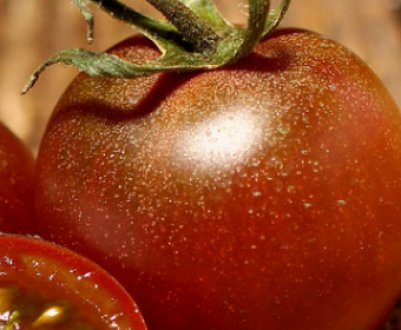 Як боротися з вершинної гниллю томатів у теплиці: методи позбавлення