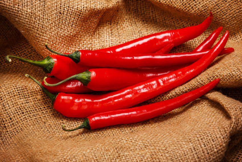 «День перцю» пройшов у Хорватії