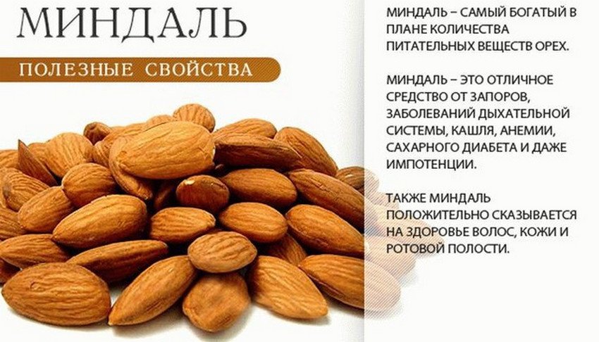чем полезна миндаль для беременных. Смотреть фото чем полезна миндаль для беременных. Смотреть картинку чем полезна миндаль для беременных. Картинка про чем полезна миндаль для беременных. Фото чем полезна миндаль для беременных