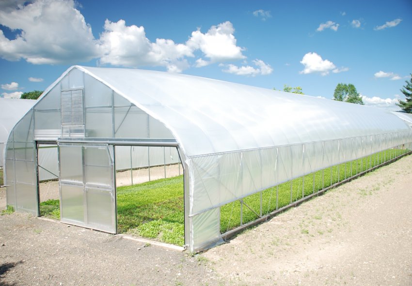 У Франції відчувають теплиці з фотоелектричними плівками У Франції відчувають теплиці з фотоелектричними плівками