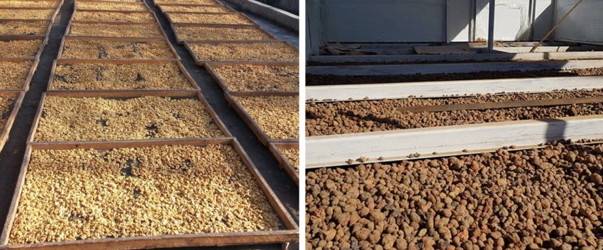 Природна сушка підносах-решітках Природна сушка підносах-решітках