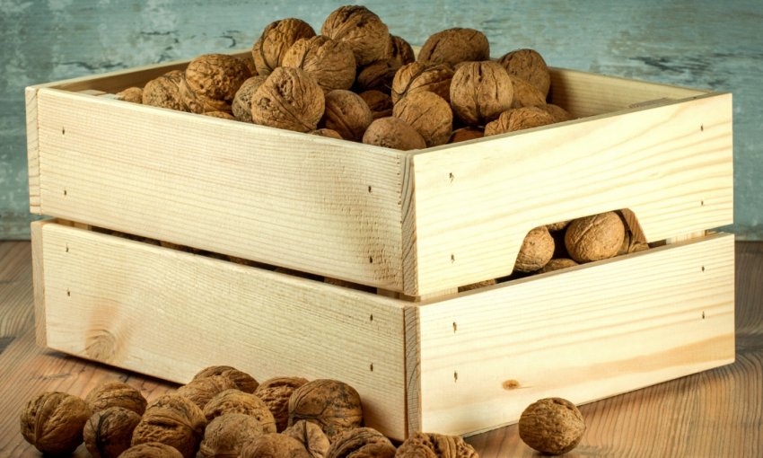 Зберігання неочищених горіхів Зберігання неочищених горіхів