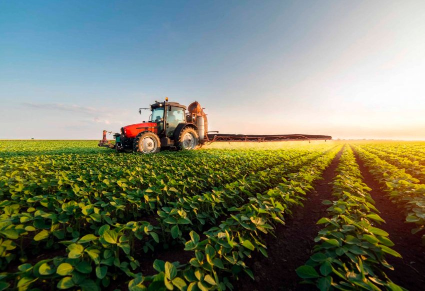 На сайті Президента України зареєстрована петиція про заборону використання антибіотиків у тваринництві На сайті Президента України зареєстрована петиція про заборону використання антибіотиків у тваринництві