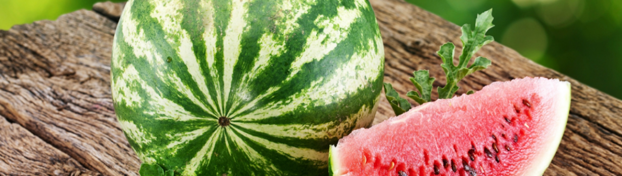 Найбільший кавун вибрали в Оренбурзькій області