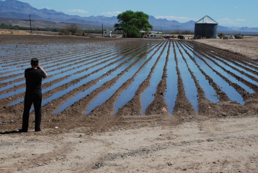 В Самарській області збільшилася кількість зрошуваних земель