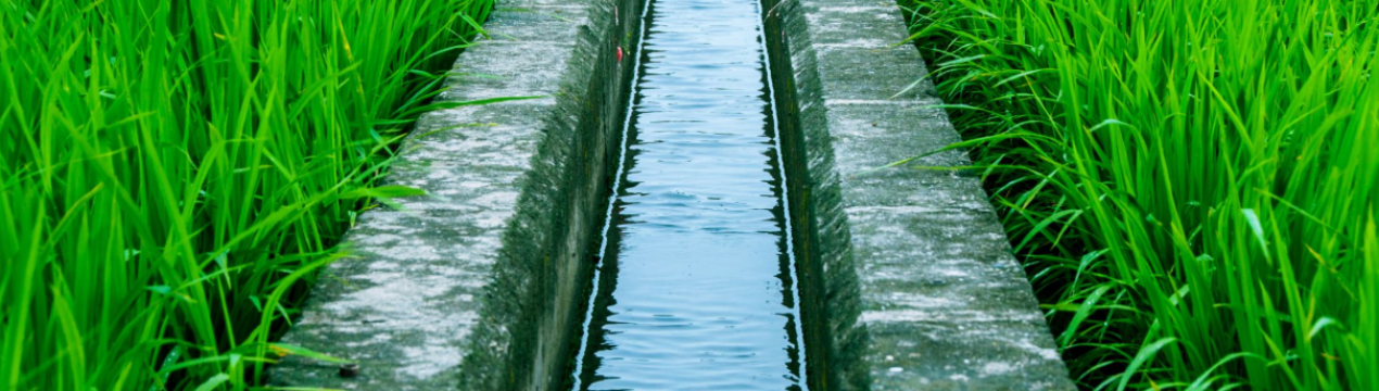 У Самарській області збільшилася кількість зрошуваних земель