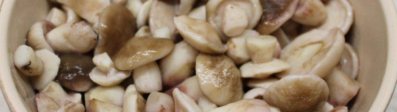 Як маринувати маслюки в домашніх умовах