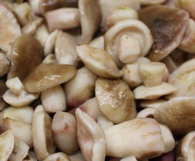Як маринувати маслюки в домашніх умовах
