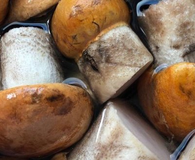 Способи маринування підосичників