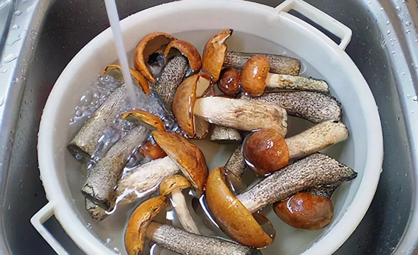 Підготовка грибів до маринування Підготовка грибів до маринування