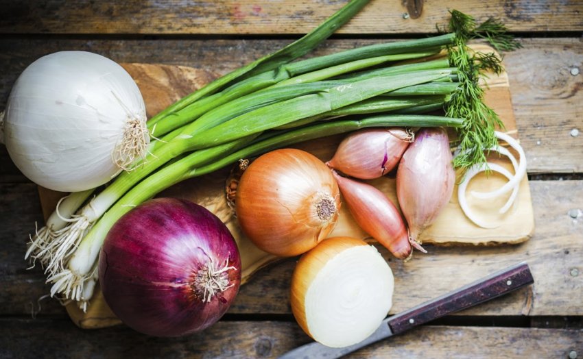 На Херсонщині відбудеться конференція, присвячена луку