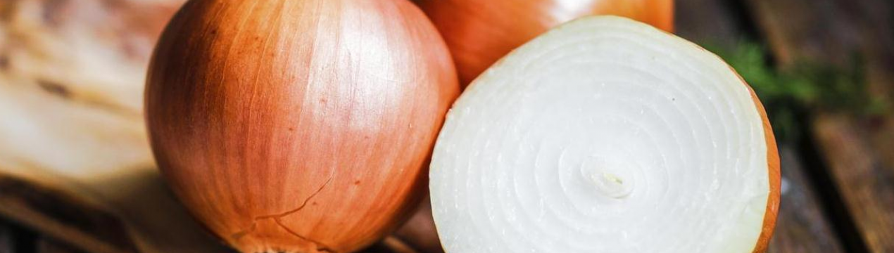 На Херсонщині відбудеться конференція, присвячена луку