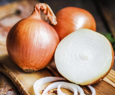 На Херсонщині відбудеться конференція, присвячена луку