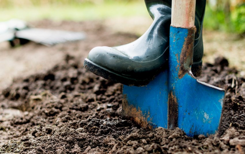 Окапывание Окапывание