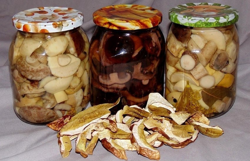 Підосичники на зиму Підосичники на зиму