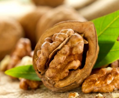 Насадження волоського горіха України вражені хворобами