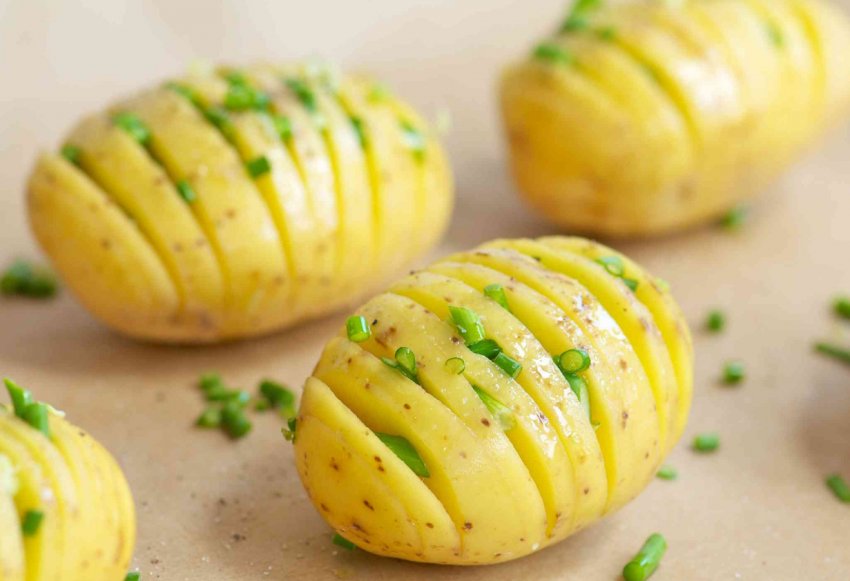 3 нових високопродуктивних сорти картоплі були представлені в Німеччині