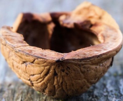 Для чого потрібна шкаралупа волоського горіха — застосування в медицині і косметології