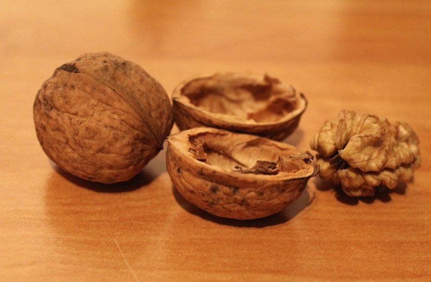 Шкаралупа волоського горіха
