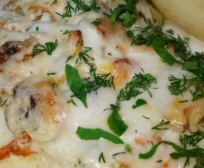 Смачний рецепт кабачків із печерицями в сметанному соусі