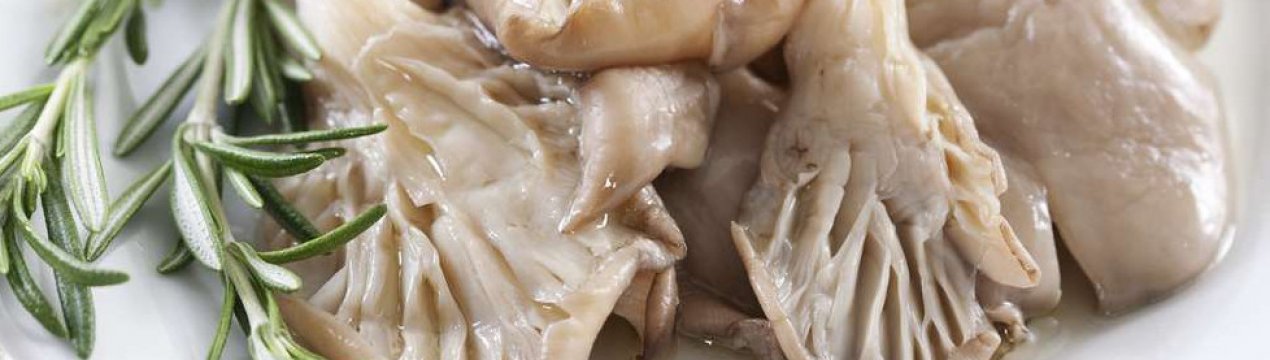 Способи засолювання глив