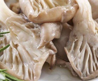 Способи засолювання глив