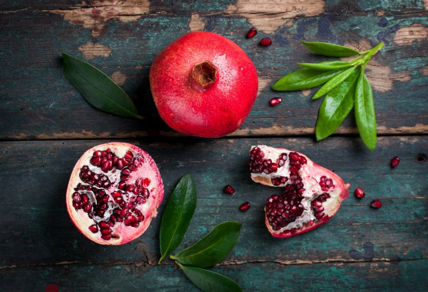 Іспанська гранатовий розплідник подвоює виробництво саджанців