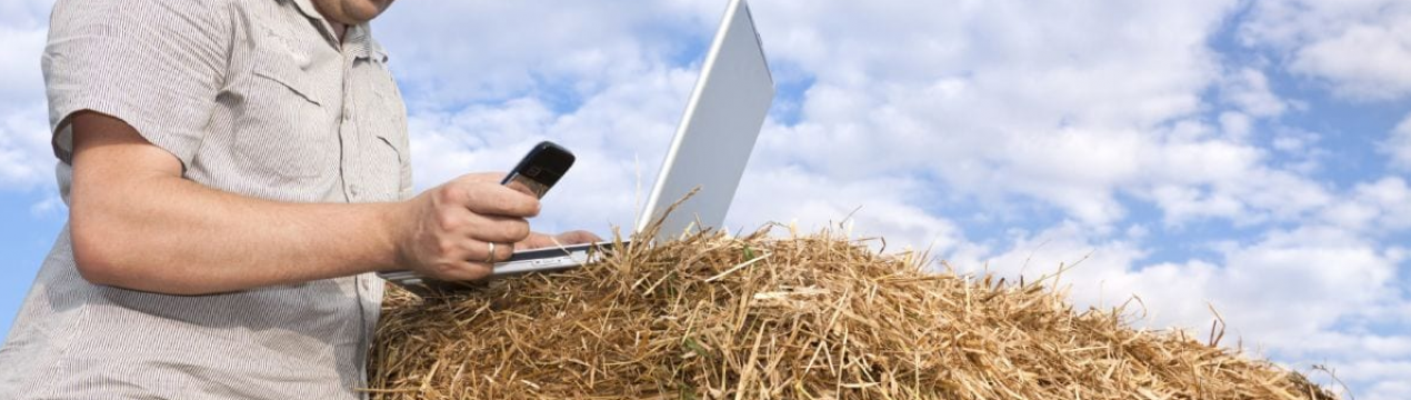 Українські фермери зможуть скаржитися на рейдерів онлайн