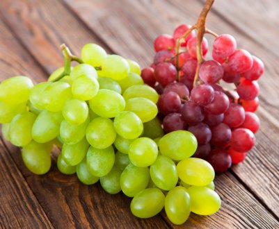 «Літня школа виноградаря» пройшла в Одеській області