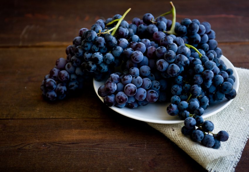 «Літня школа виноградаря» пройшла в Одеській області