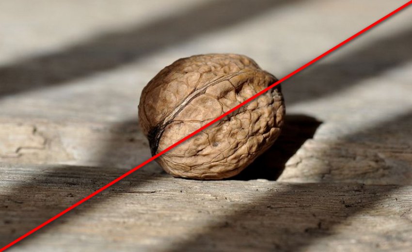 Волоський горіх