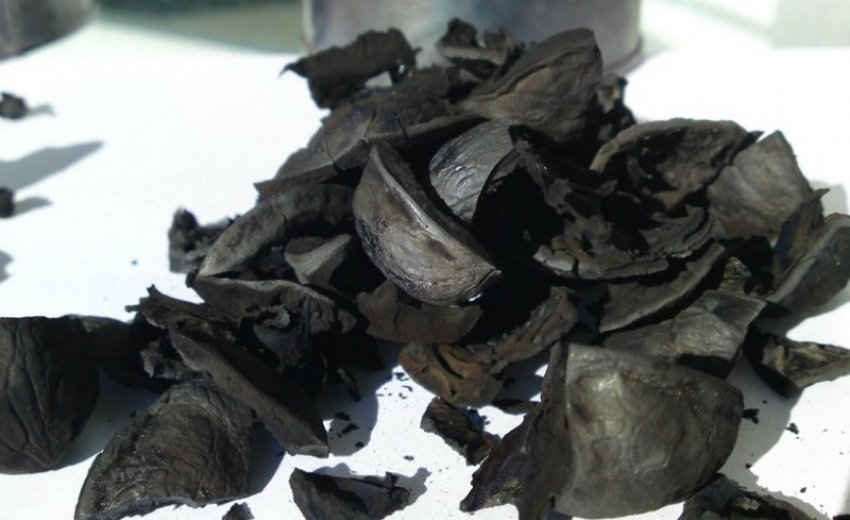 Шкаралупа горіха