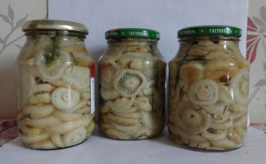 Консервированные грибы