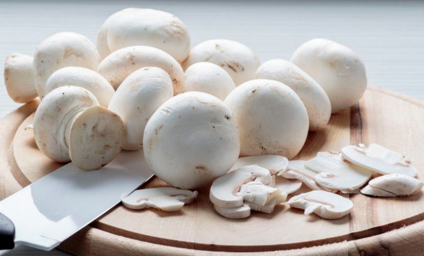 Свіжі печериці Свіжі печериці