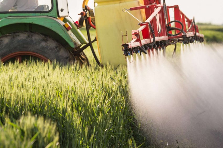 Українське фермерське господарство розробив оптимальну систему удобрення озимої пшениці Українське фермерське господарство розробив оптимальну систему удобрення озимої пшениці