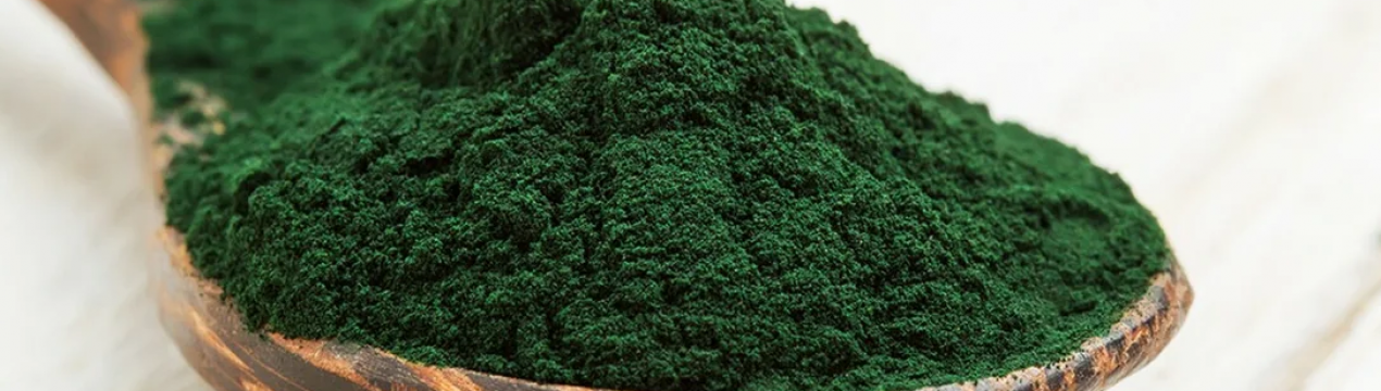 Запорізькі фермери вирощують корисні водорості