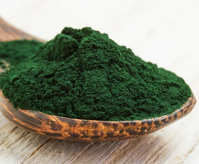 Запорізькі фермери вирощують корисні водорості