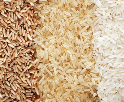 Рисівники Кубані чекають щедрого врожаю