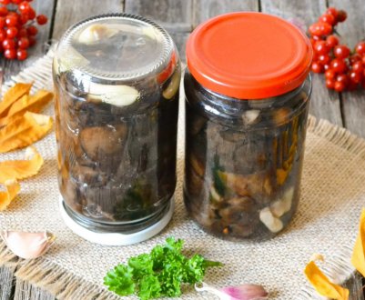 Рецепт маринування та заморожування грибів свинушок