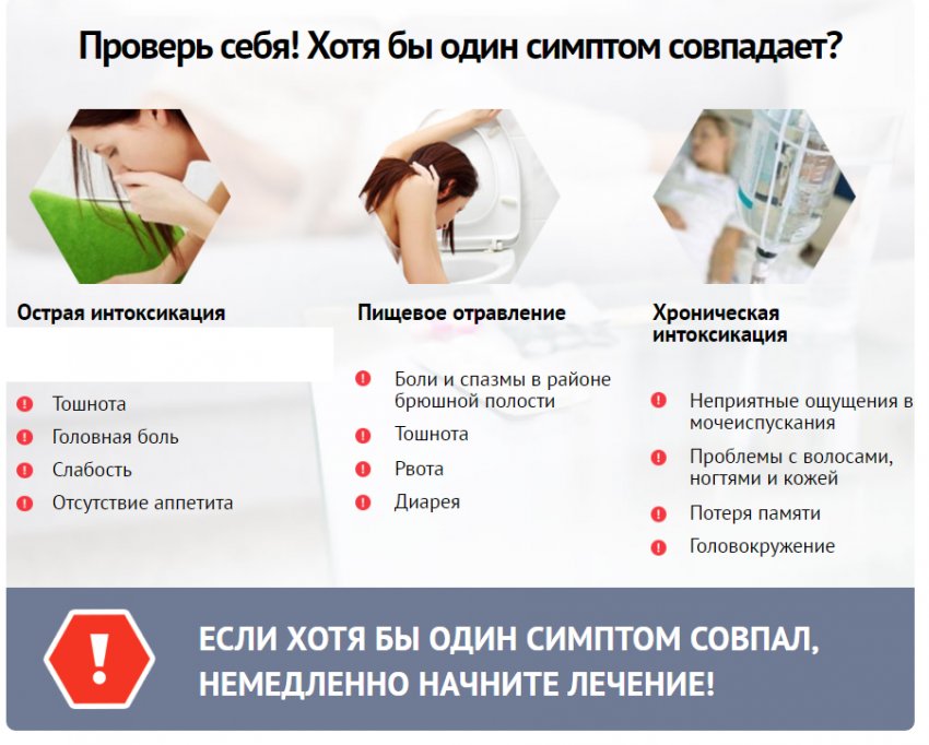Как понять что лисички испортились. Смотреть фото Как понять что лисички испортились. Смотреть картинку Как понять что лисички испортились. Картинка про Как понять что лисички испортились. Фото Как понять что лисички испортились