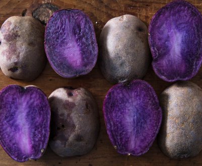 Чорний картоплю від індійських учених містить антиоксиданти і не викликає ожиріння