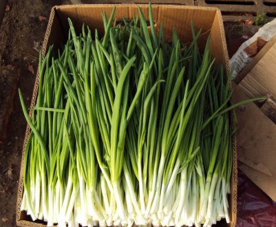 Рожеві мухи допомагають зберегти врожай канадських фермерів