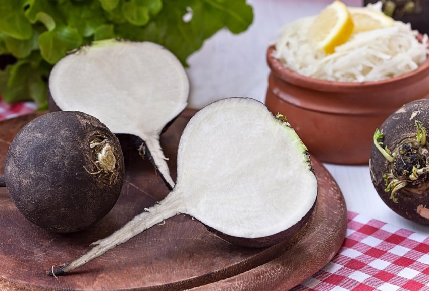 Рожеві мухи допомагають зберегти врожай канадських фермерів